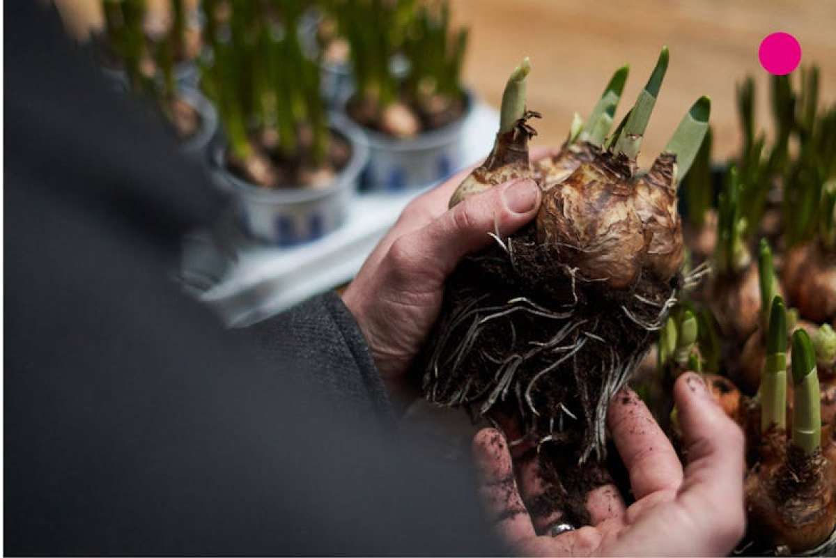 Industrial Unit in London - photo 3