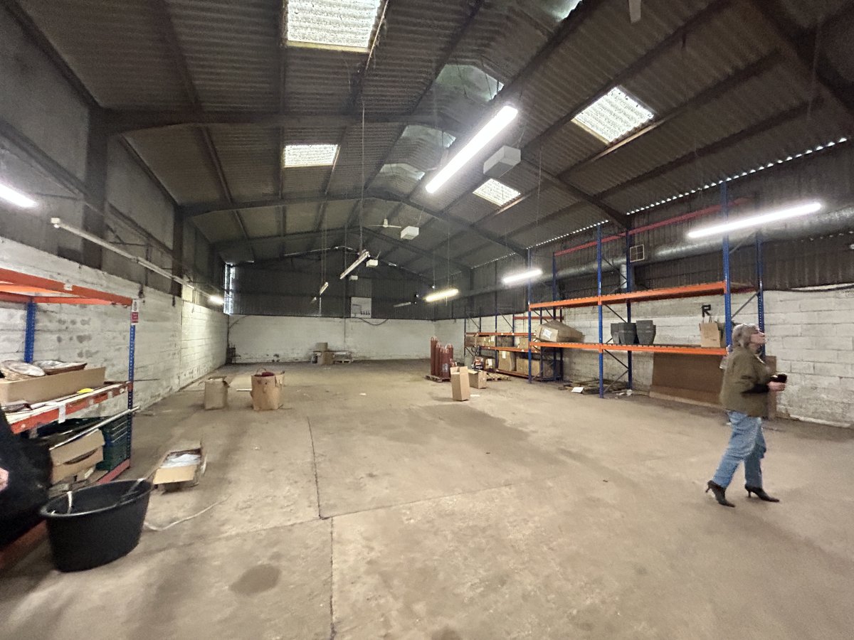 Industrial Unit in Saul - photo 3