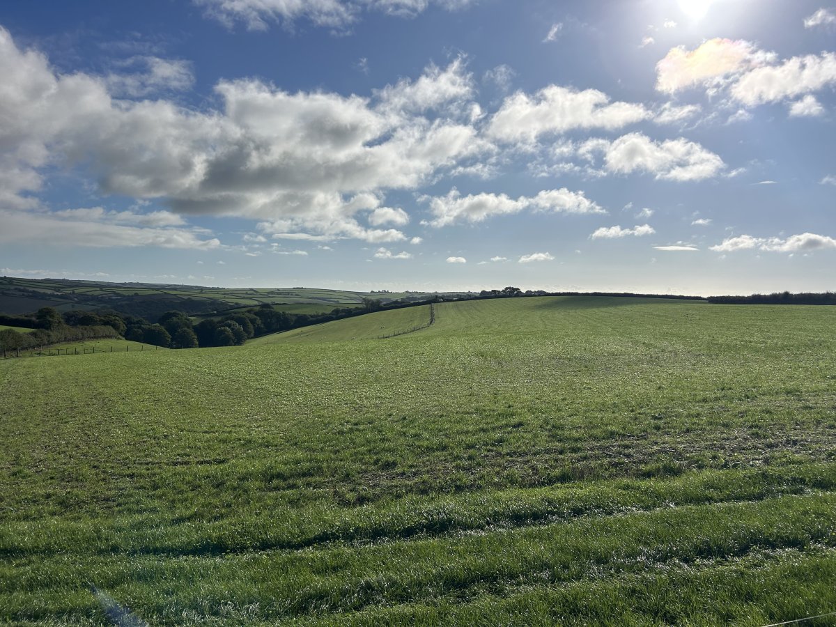 Industrial Unit in Slapton - photo 2