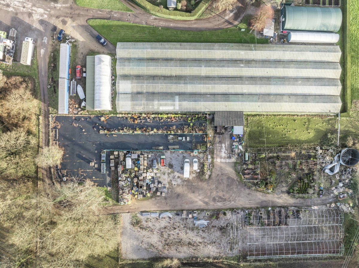 Industrial Unit in Saul - photo 3