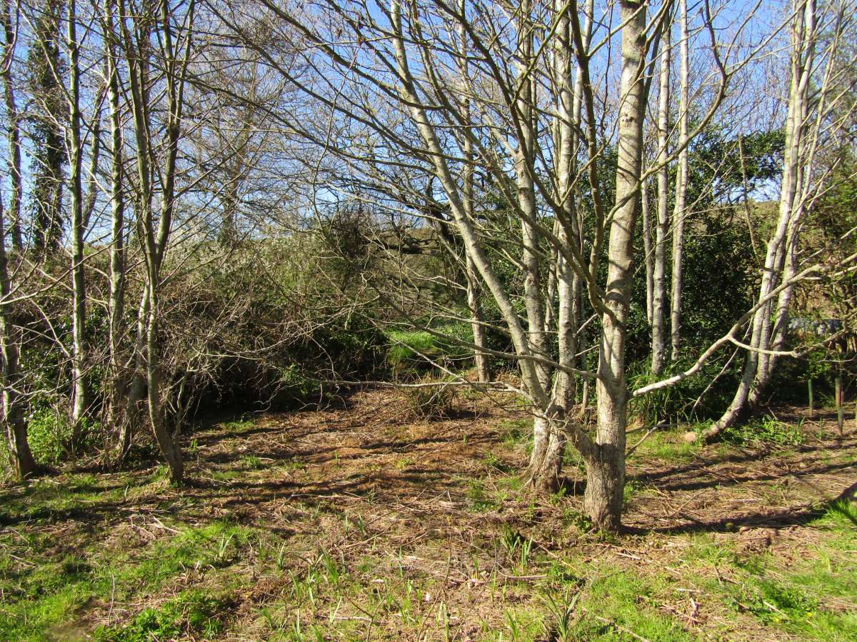 Land in Kingsbridge - photo 4