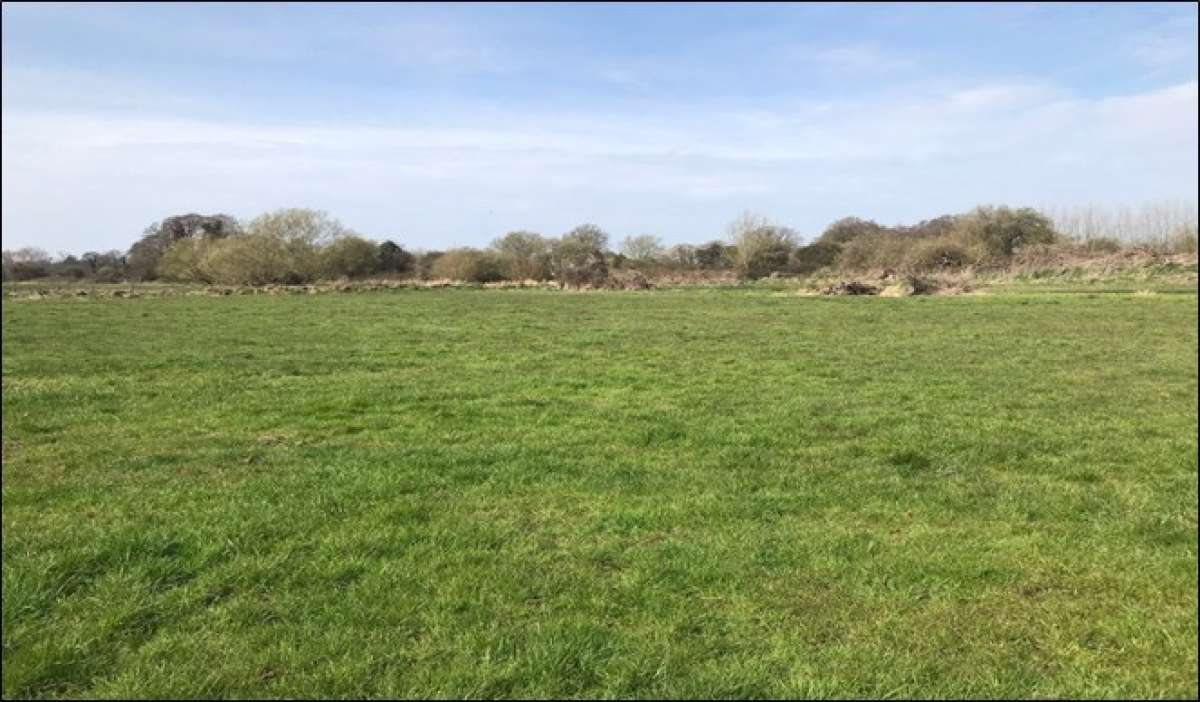 Land For Sale, Burtle