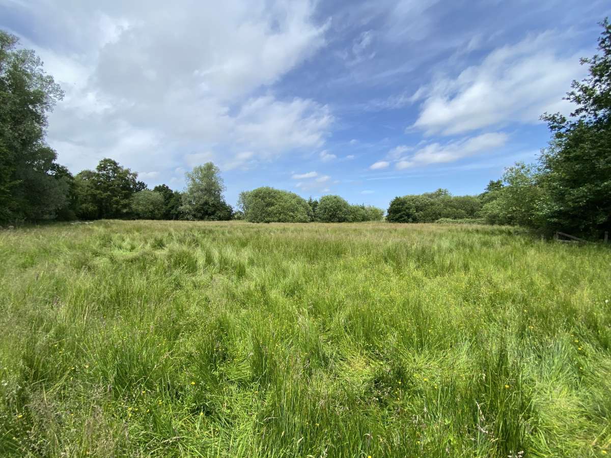 Land in Barton Turf