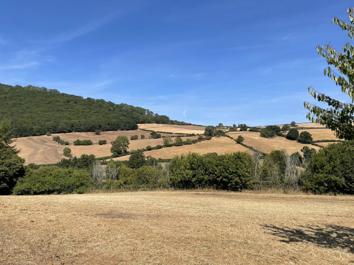 Land in Chapel Lawn