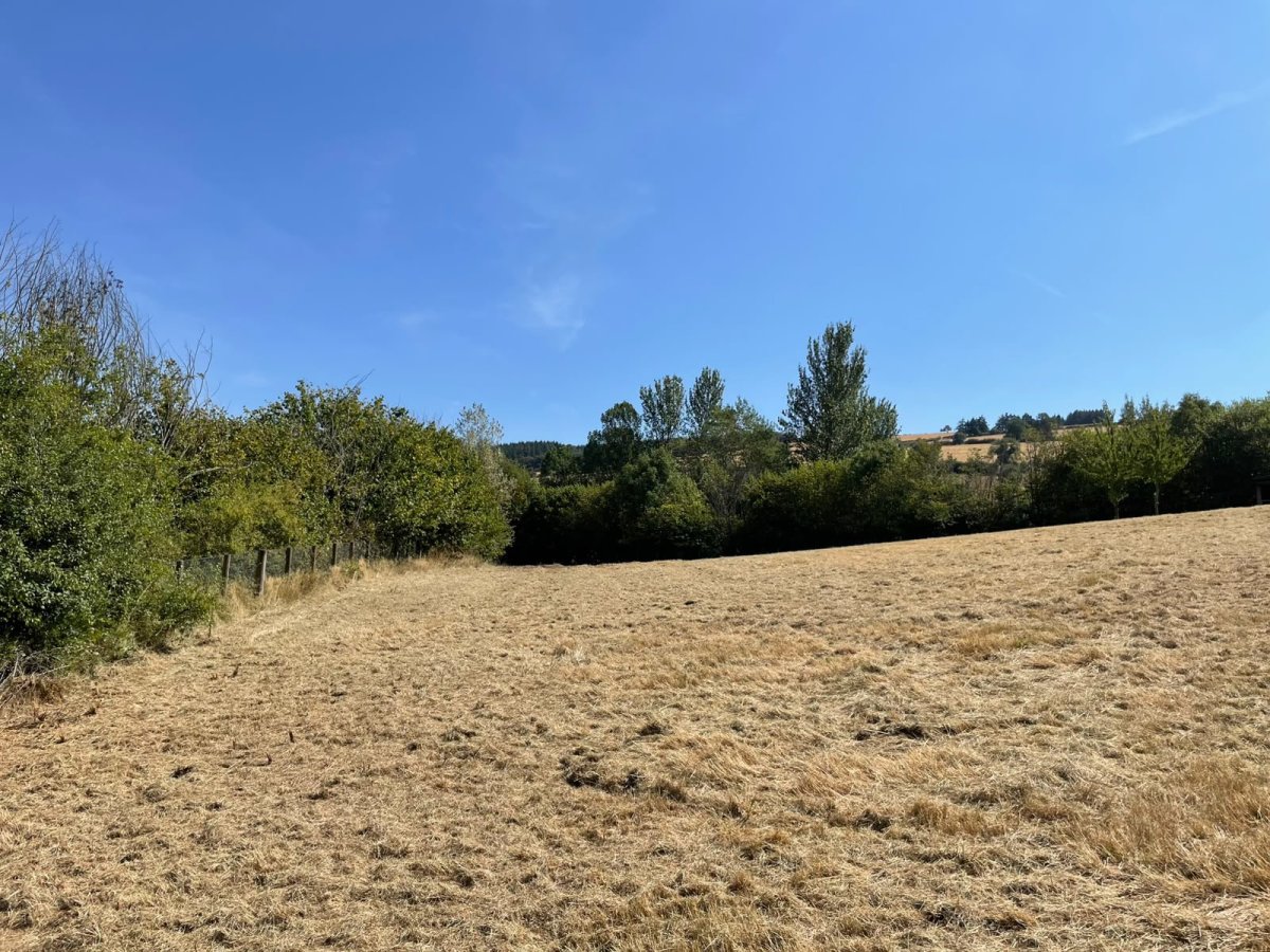 Land in Chapel Lawn - photo 3