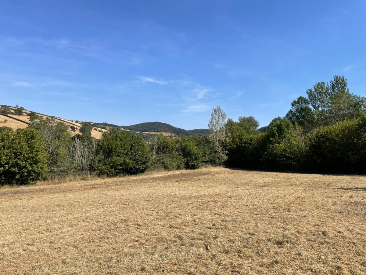 Land in Chapel Lawn - photo 4