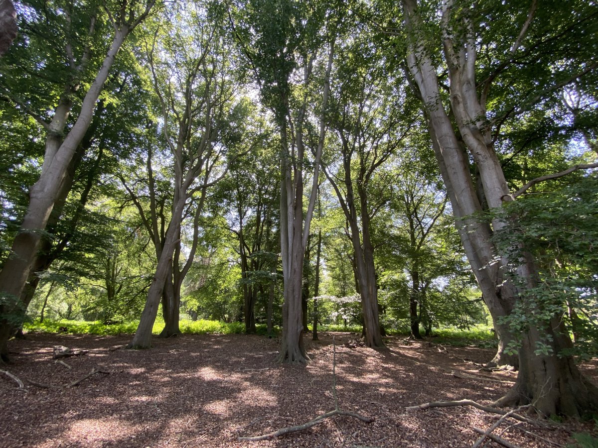 Land in Swannington - photo 2