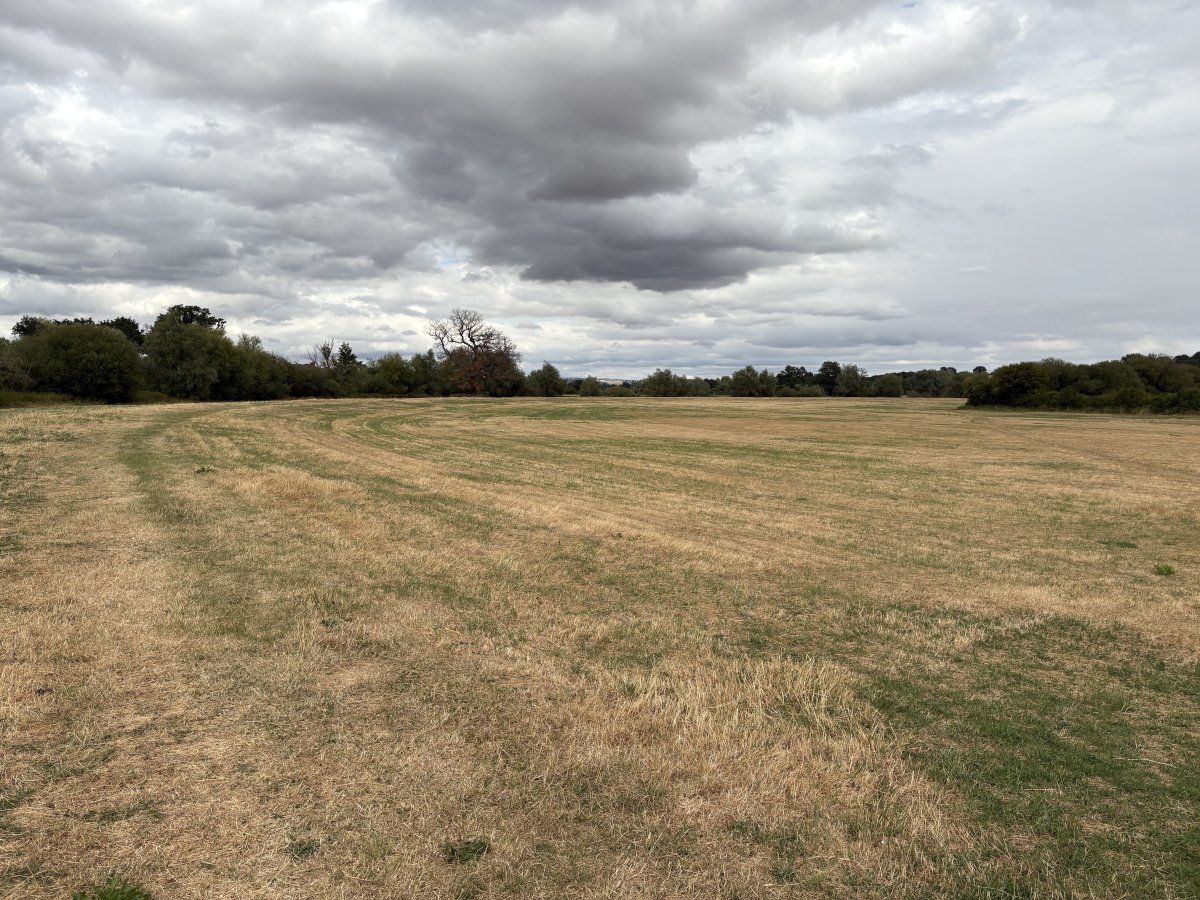 Land in Apperley