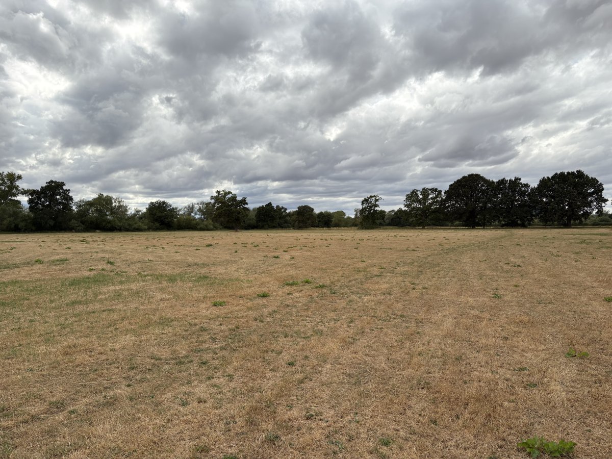 Land in Apperley - photo 2