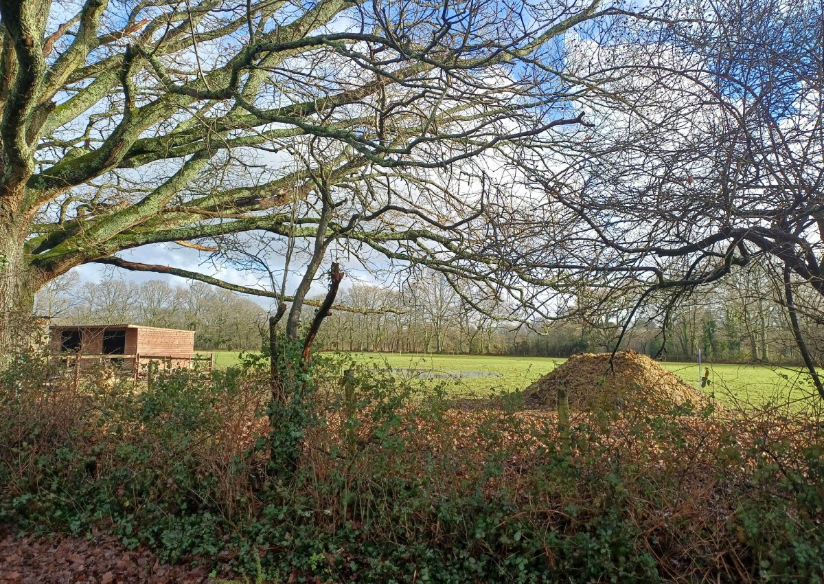 Land in Cadnam