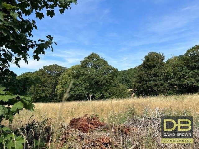 Land in Bagthorpe - photo 3