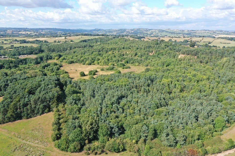 Land in Ashbourne