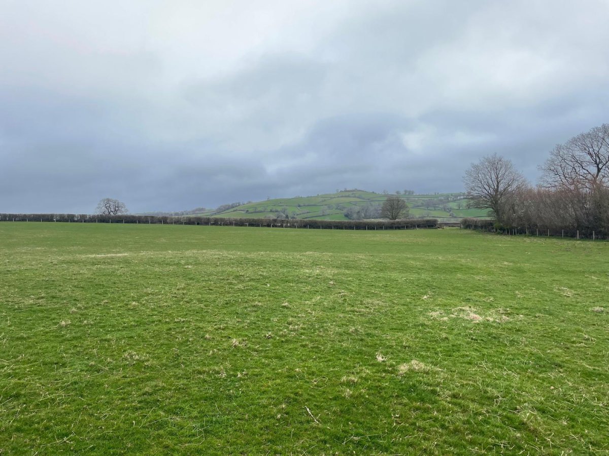 Land in Brecon - photo 2