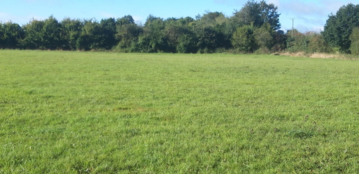 Land in Stafford - photo 3