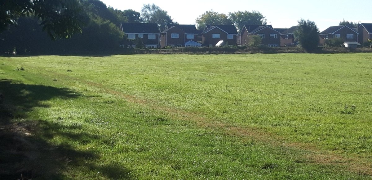 Land in Stafford - photo 4