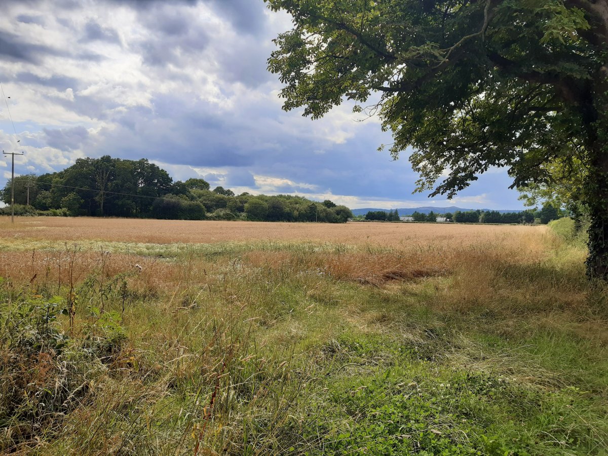 Land in Tewkesbury - photo 3