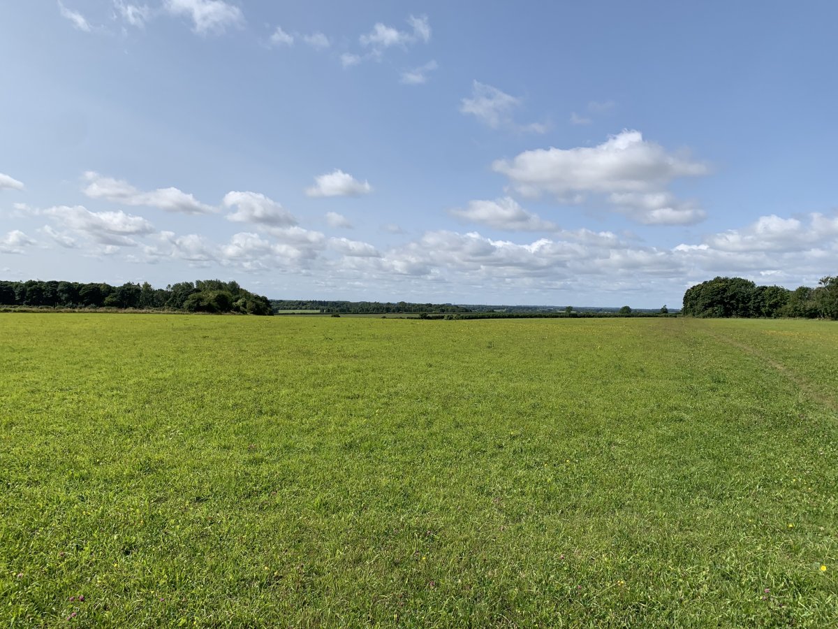 Land in Clapton - photo 3