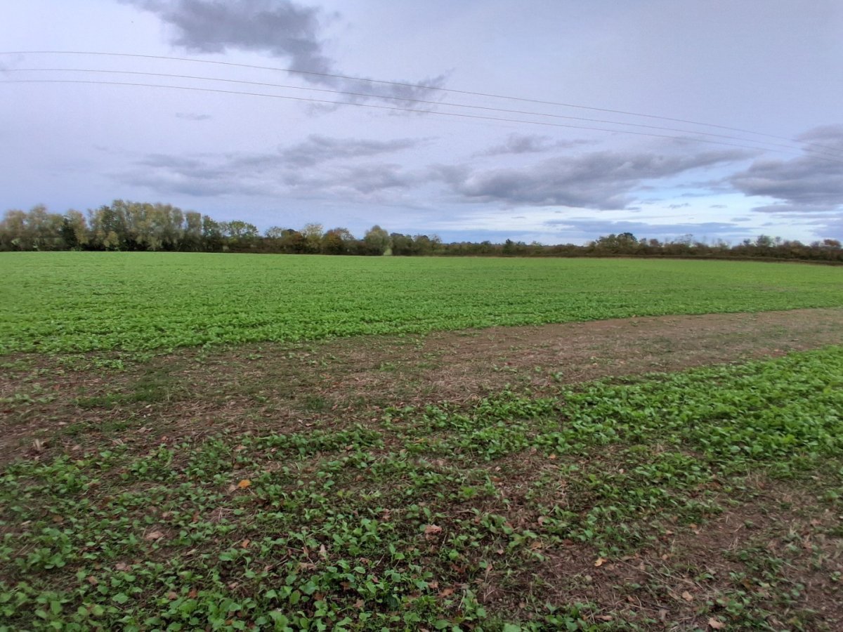 Land in Castlemorton - photo 3