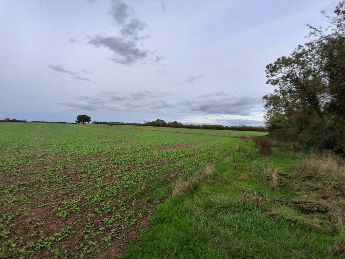 Land in Castlemorton - photo 4