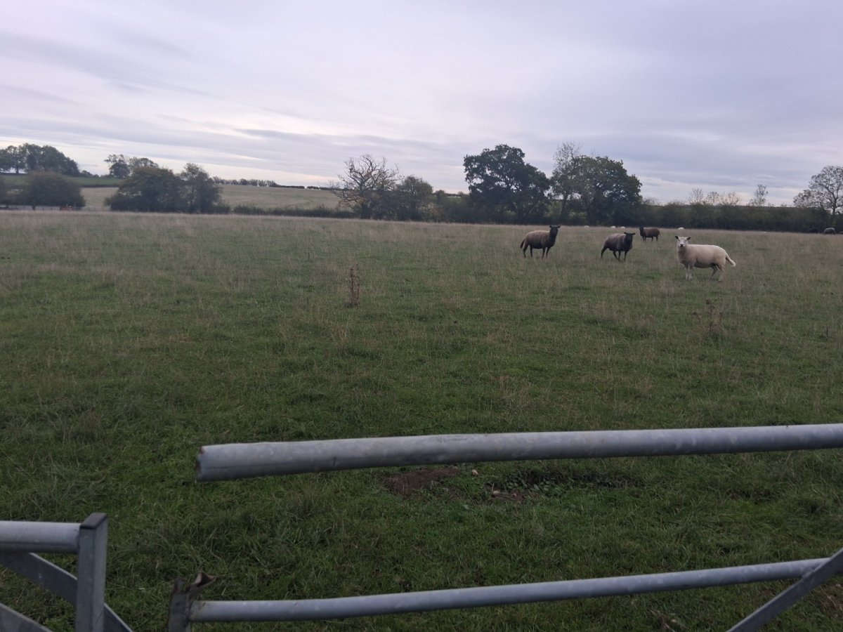 Land in Castlemorton - photo 2