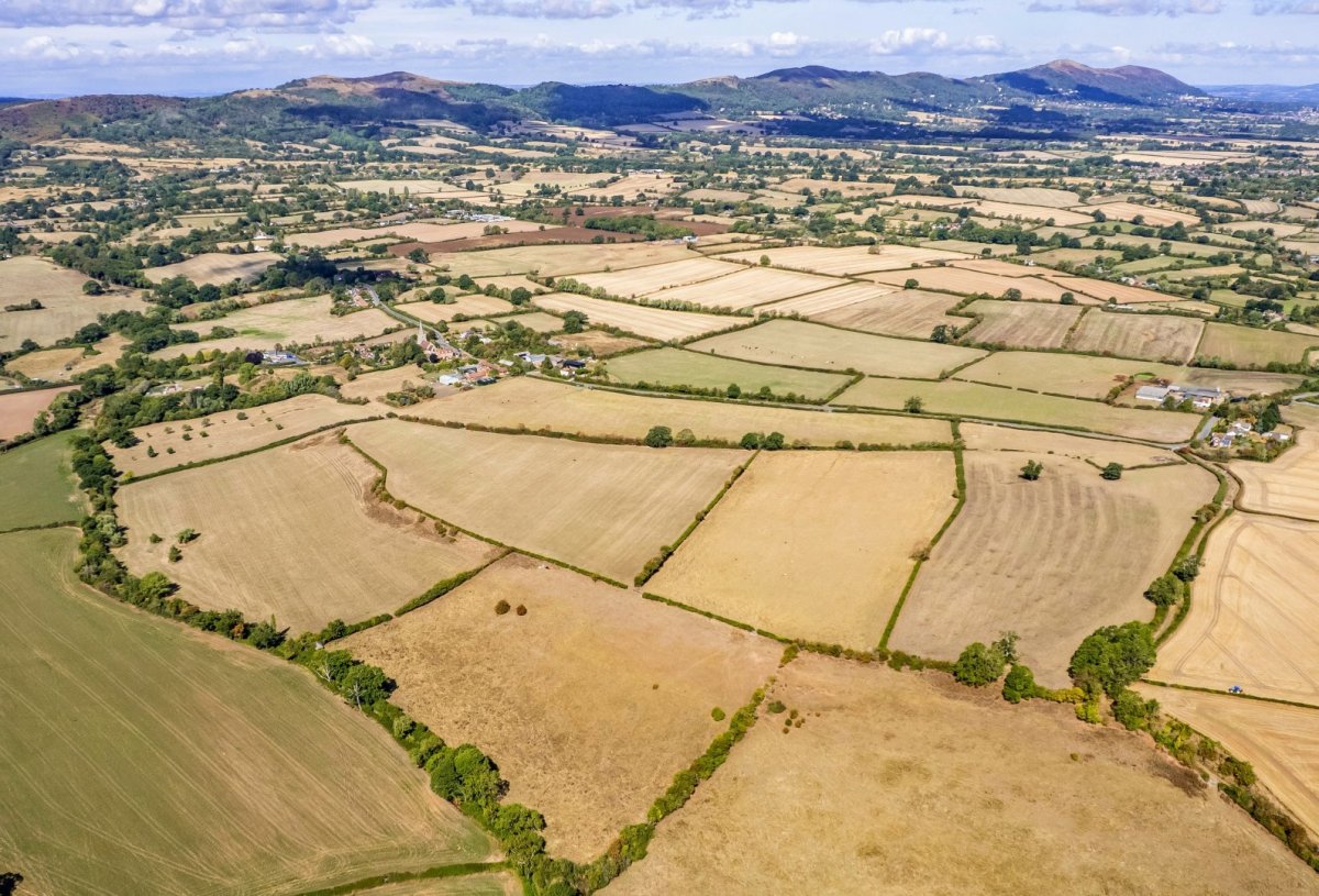 Land in Castlemorton - photo 3