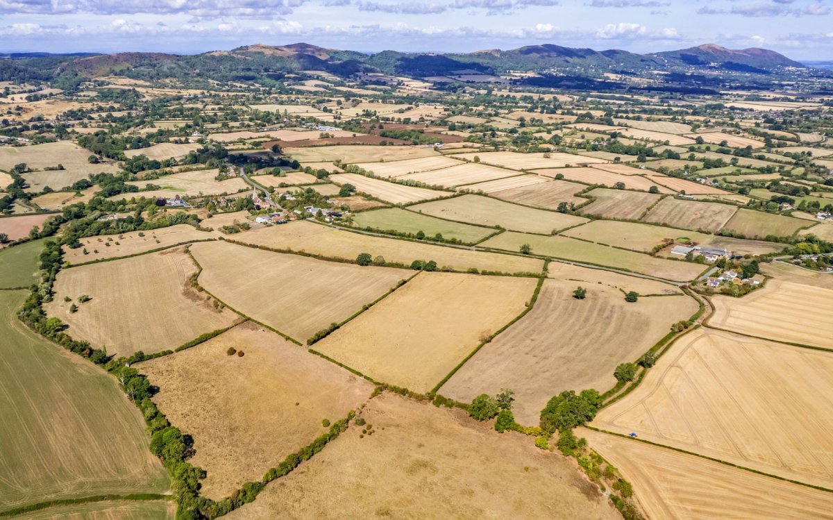 Land in Castlemorton - photo 4