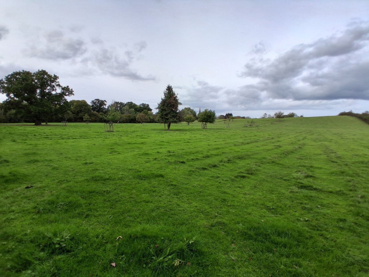 Land in Castlemorton