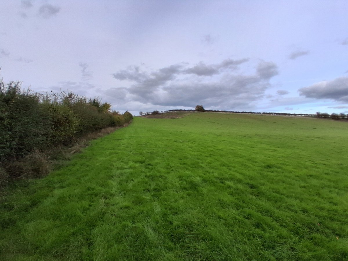 Land in Castlemorton - photo 2