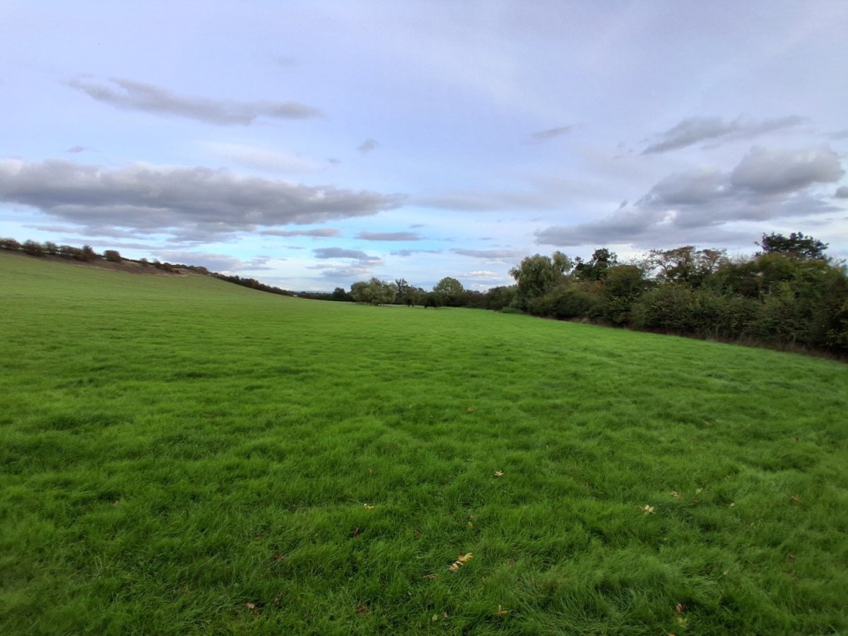 Land in Castlemorton - photo 3