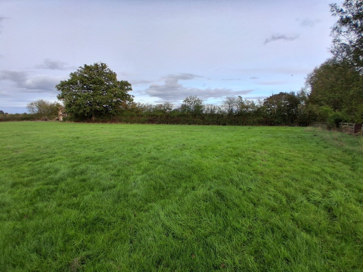 Land in Castlemorton - photo 2