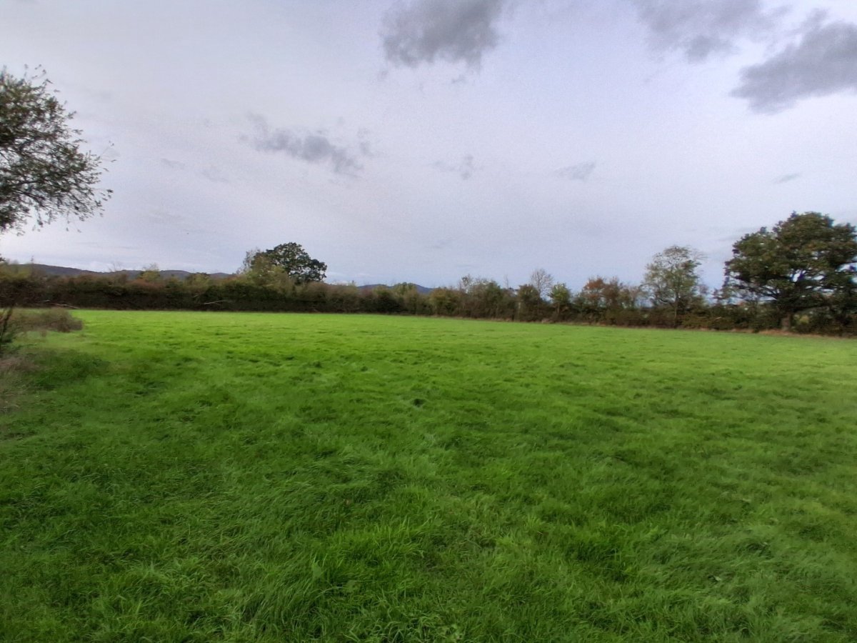 Land in Castlemorton - photo 4