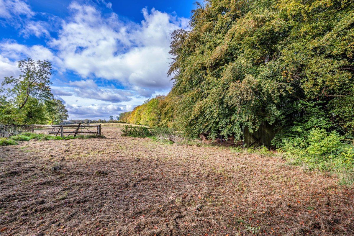 Land in Slad - photo 3