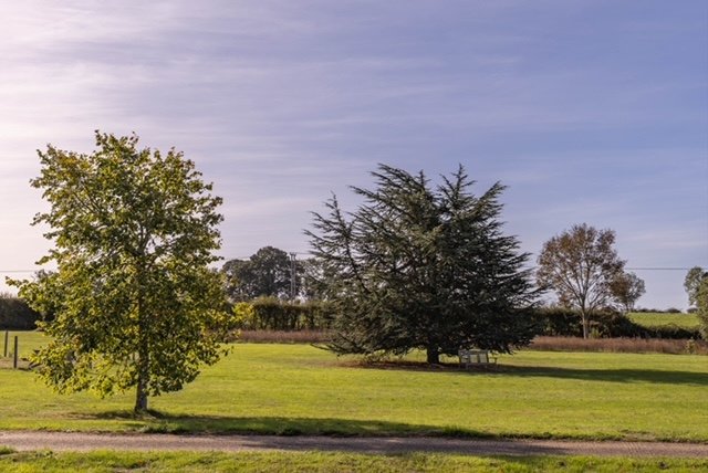 Office in Abbotsley - photo 4
