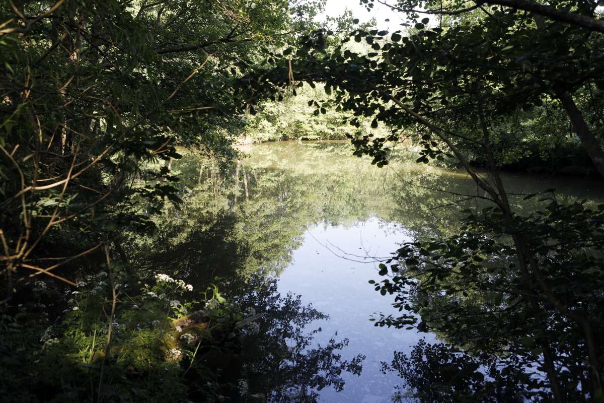 Other in Tunbridge Wells - photo 2