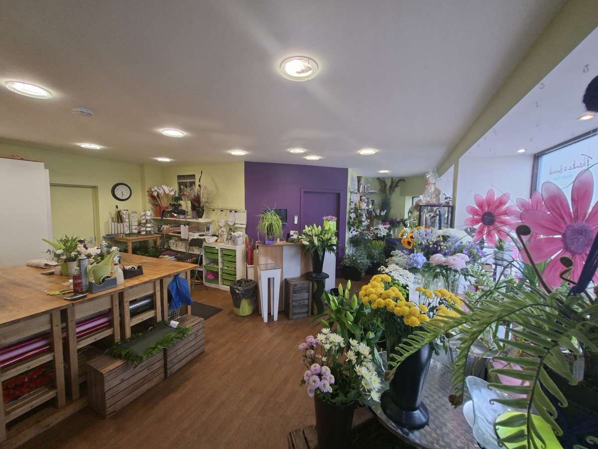 Retail/Shop in Tullibody - photo 2