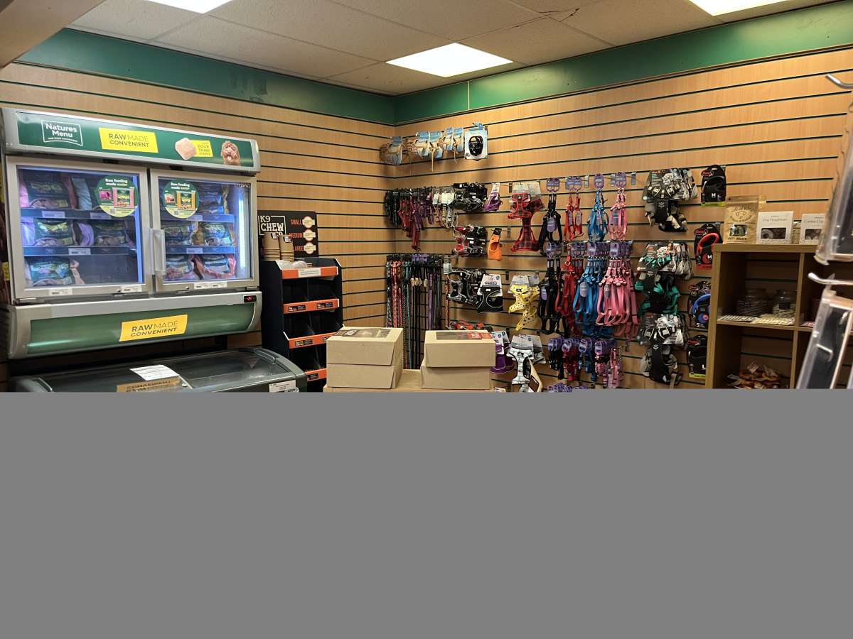 Retail/Shop in Exeter - photo 3