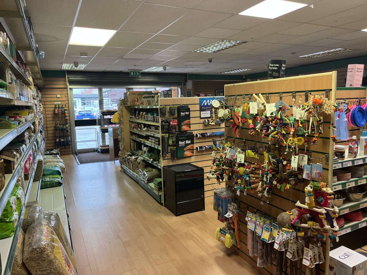 Retail/Shop in Exeter - photo 4