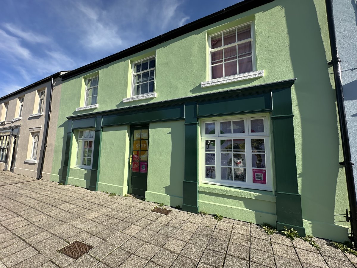 Retail/Shop in Yelverton - photo 3