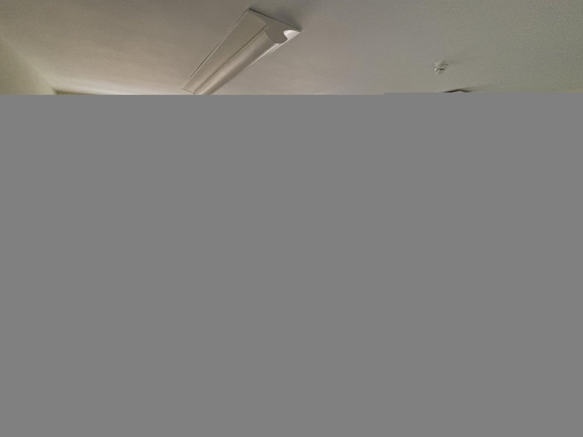 Retail/Shop in Taunton - photo 4