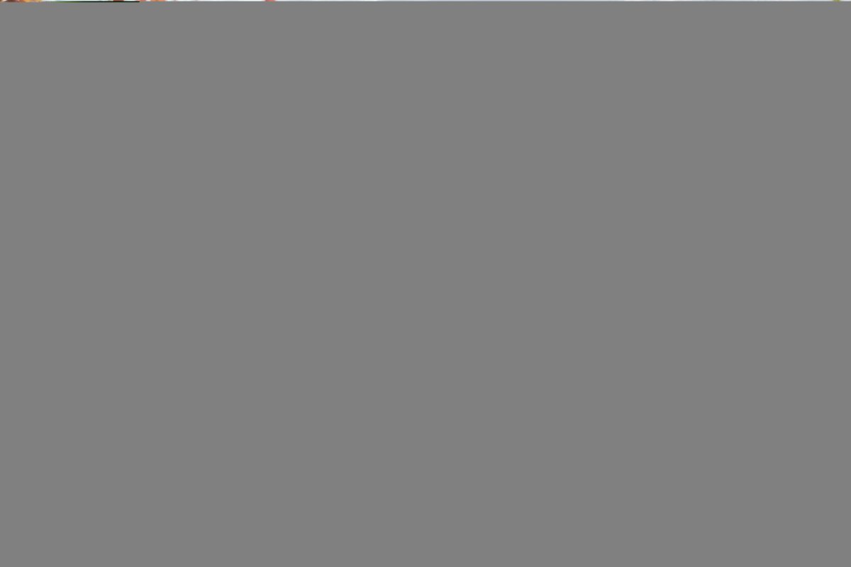Retail/Shop in Bampton - photo 3